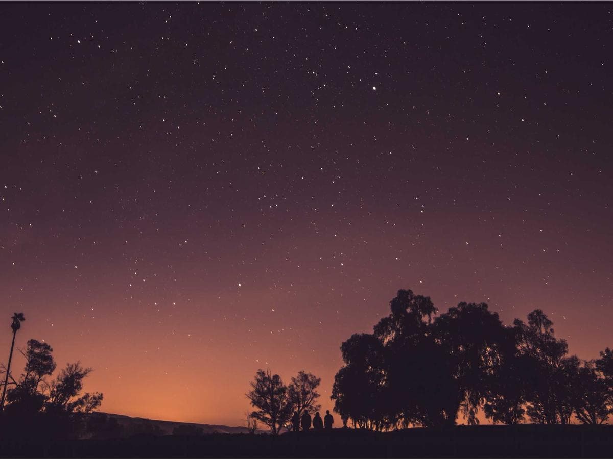 Cuisine — après ia